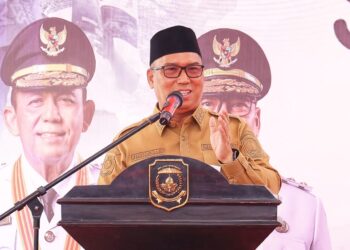 Wagub Nyanyang Tekankan Pentingnya Optimalisasi Kawasan FTZ BBK